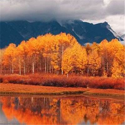 南宫体育app下载